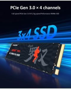 HUADISK M.2 NVMe PCIe SSD 256GB